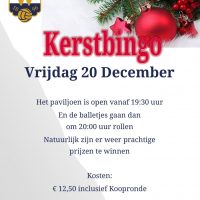 Bingo groot succes