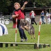 WK Agility 2021