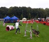 WK Agility